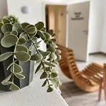 Haus Horizont Hz02